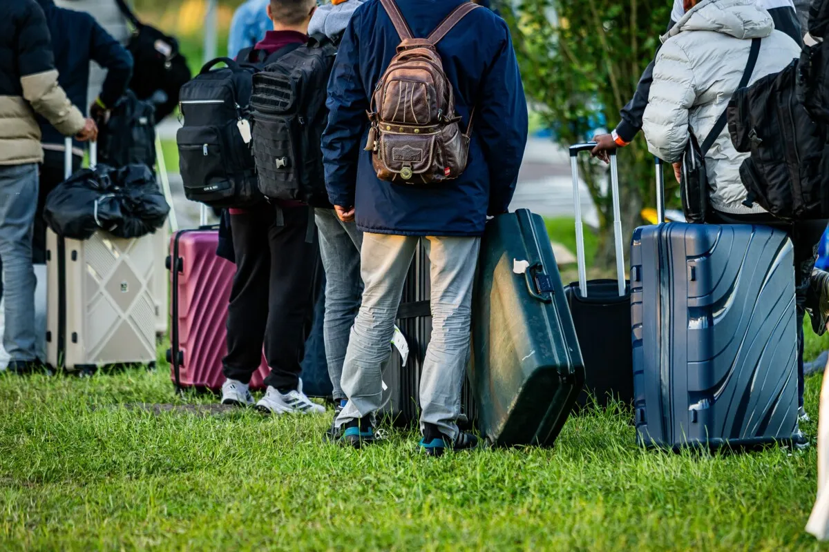 Face the facts: immigration is choking the housing market