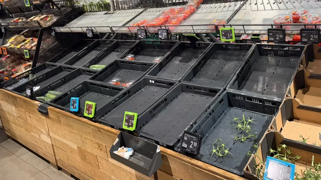Albert Heijn distribution centers halted after digital security incident, empty shelves possible