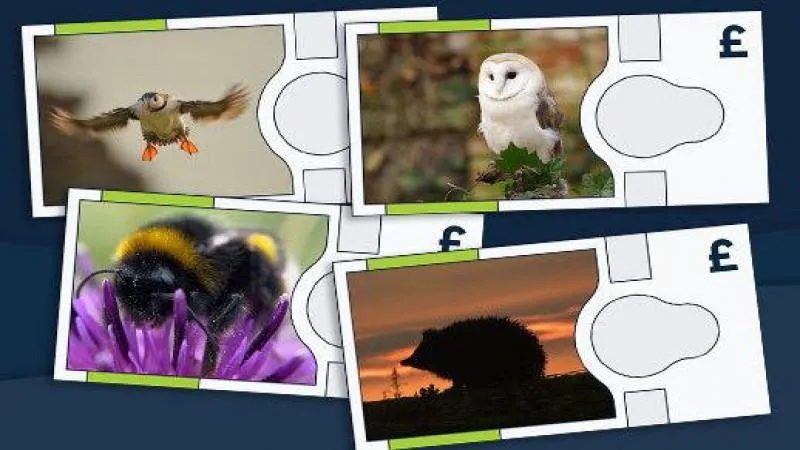 European Hedgehog and Earth Bumblebee to Appear on New British Banknotes — a Refreshing, Down-to-Earth Choice